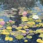 Water lilies in Balboa Park #2  (2019)  24 x 18