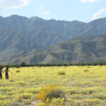 Couple in Wildflowers